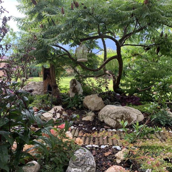 garden, landscaping, plants