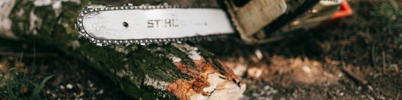 Powerful modern gas chainsaw with steel blade lying on ground near cut log and shrub in forest on sunny weather